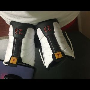 Air Jordan Taxi 12.